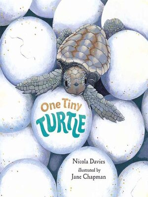 cover image of One Tiny Turtle